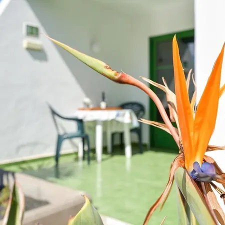 Apartment Mimosas. Bajo Con Wifi. Piscinas Comunitarias Tias